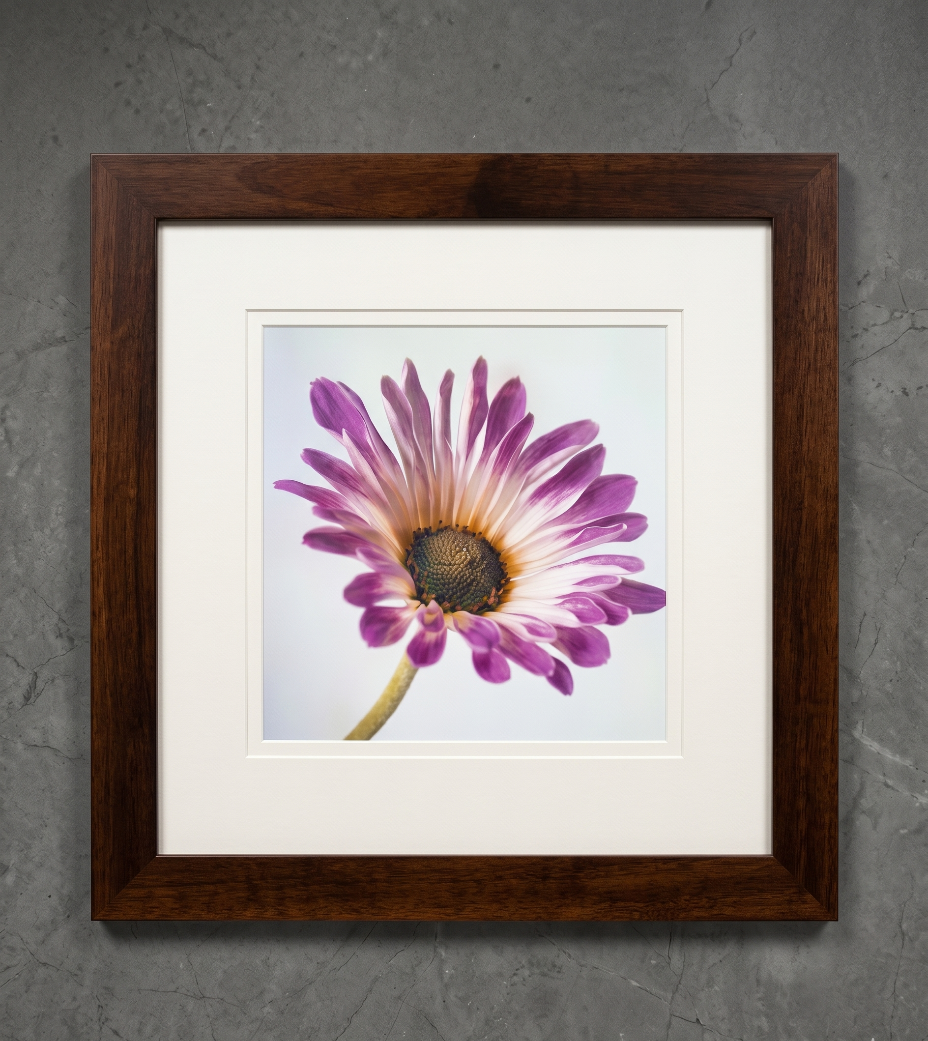 35.56 x 35.56cm shadow box framed wooden interior decor
