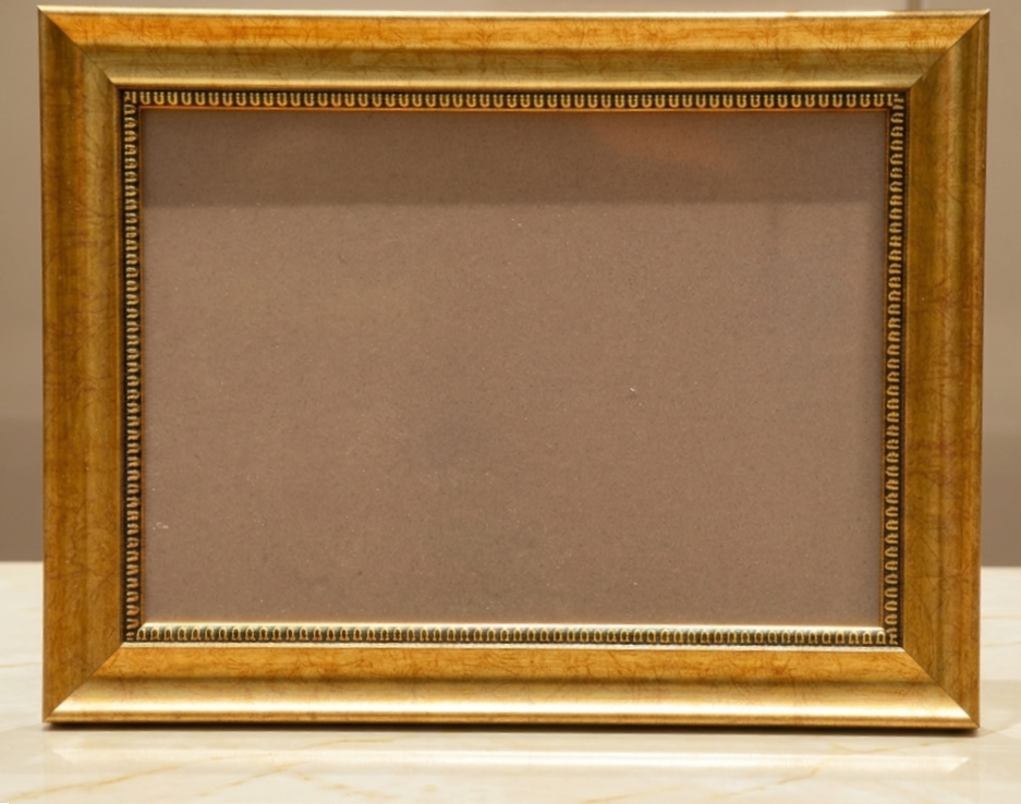 Gold /Metallic FIbre Frame