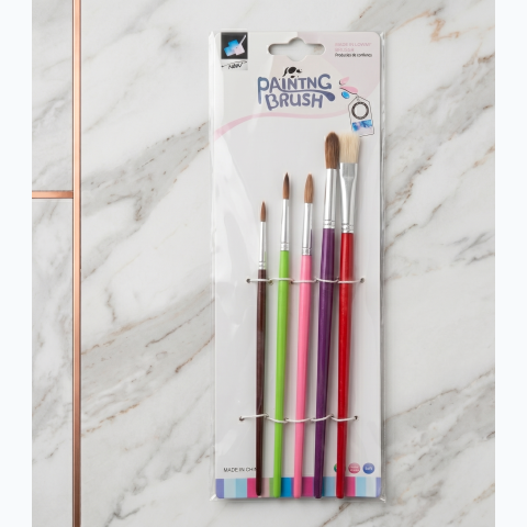 5pcs painting brush