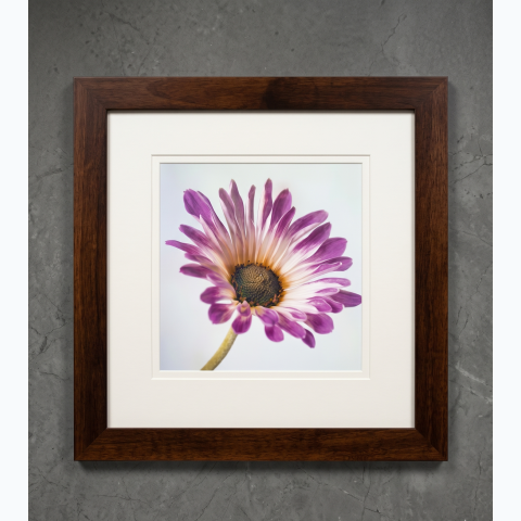 35.56 x 35.56cm shadow box framed wooden interior decor