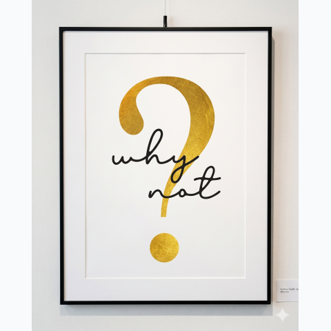 Black thin interior décor framed print with matte and perspex