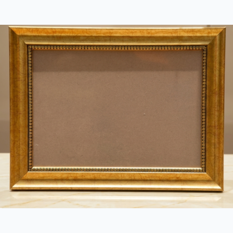 Gold /Metallic FIbre Frame